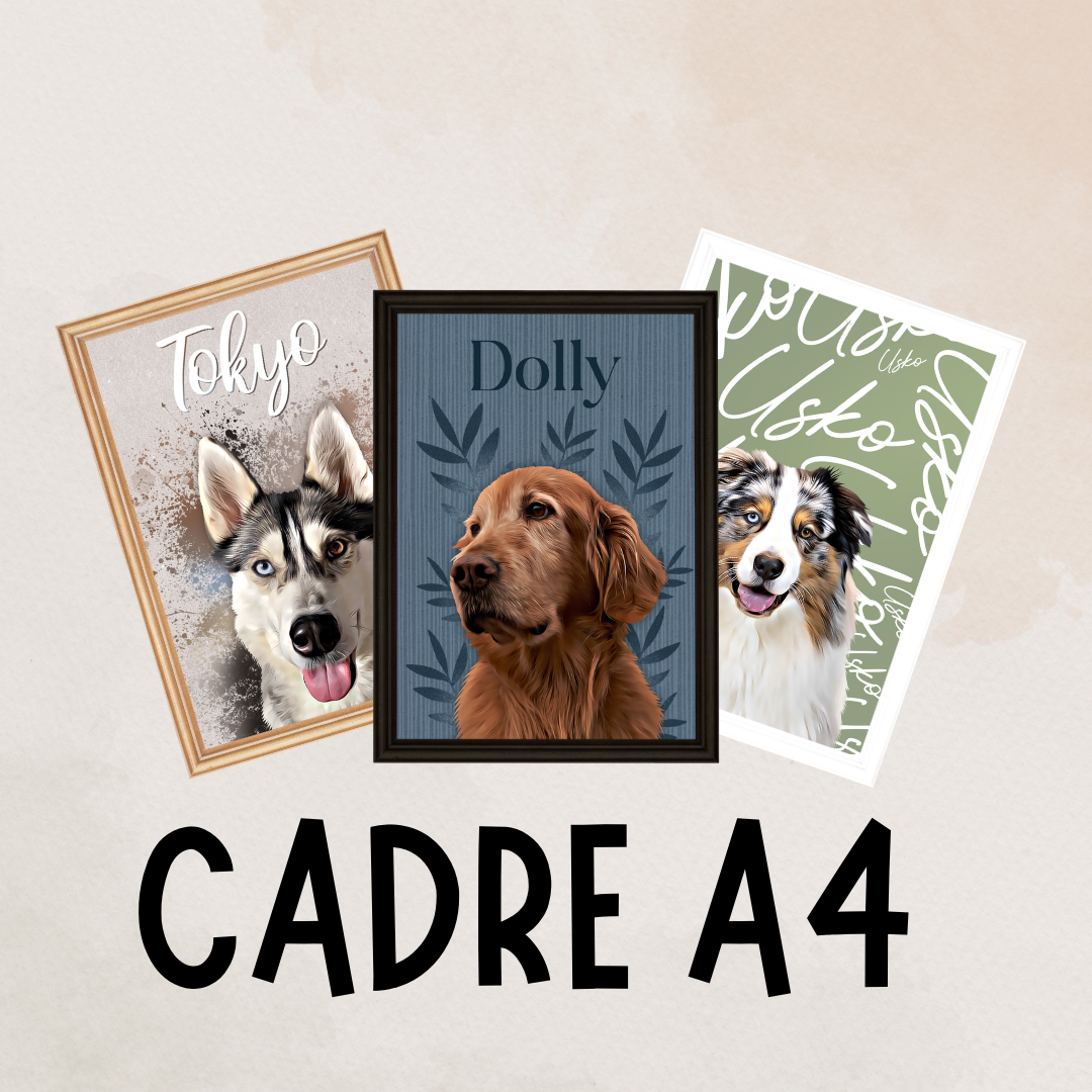 Cadre A4