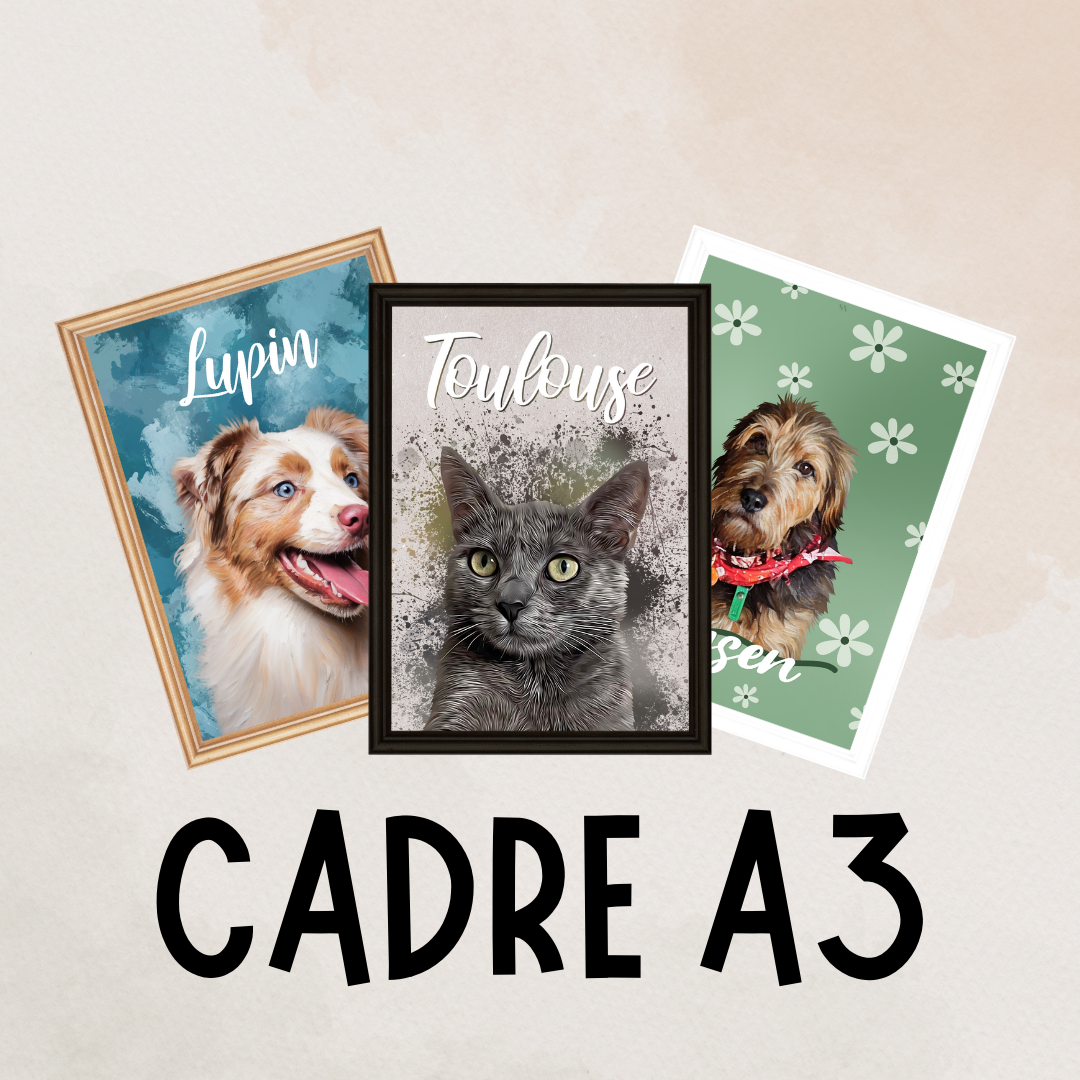 Cadre A3